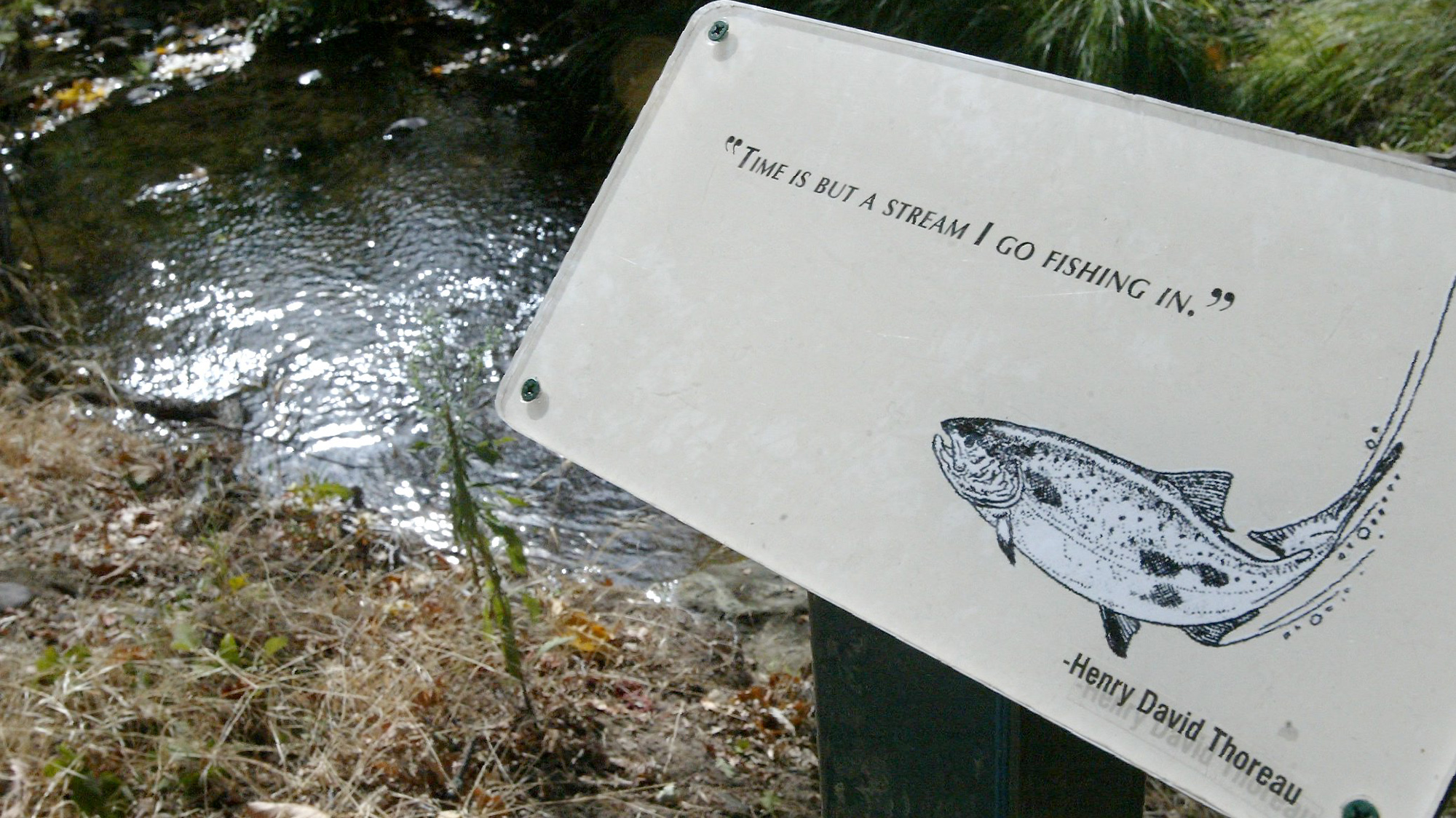 A sign near the creek on the butte college wildlife refuge. 