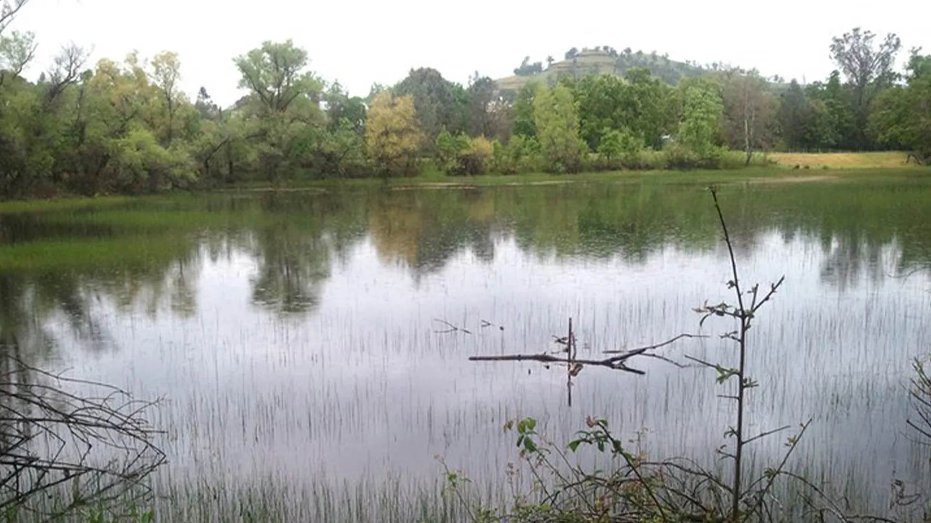 Wildlife refuge pond view