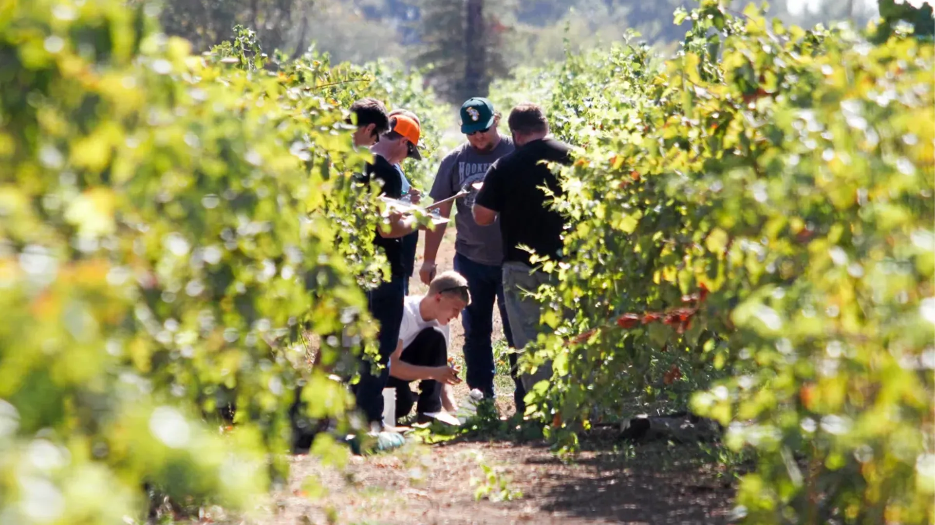 Butte College students gather in vineyard