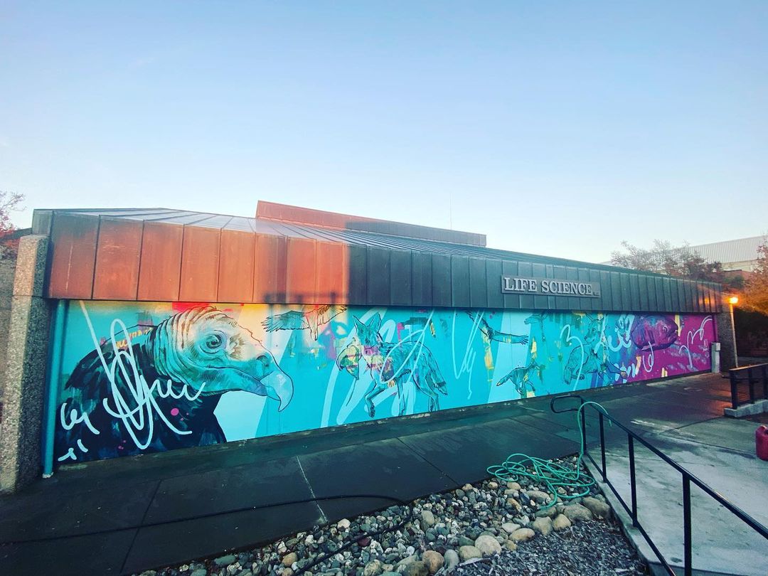 "We Care About You" by artists Dylan Tellesen a mural by dylan tellesen on the life sciences building and fetauring multi color painted layers and wildlife such as salmon and vultures