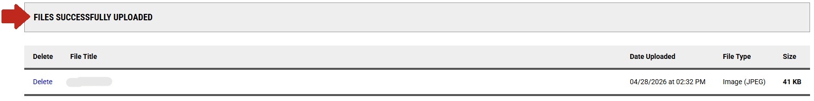 Arrow pointing to Files Successfully Uploaded section.