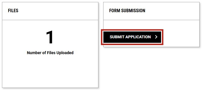 Review Before Submitting page with Submit Application button highlighted.